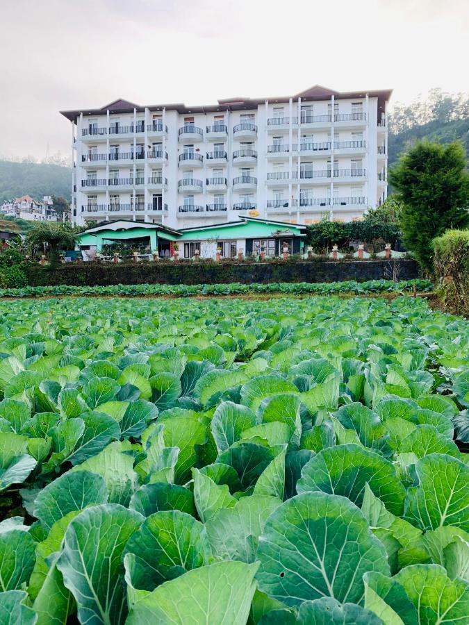 City Apartment'S Nuwara Eliya Eksteriør billede